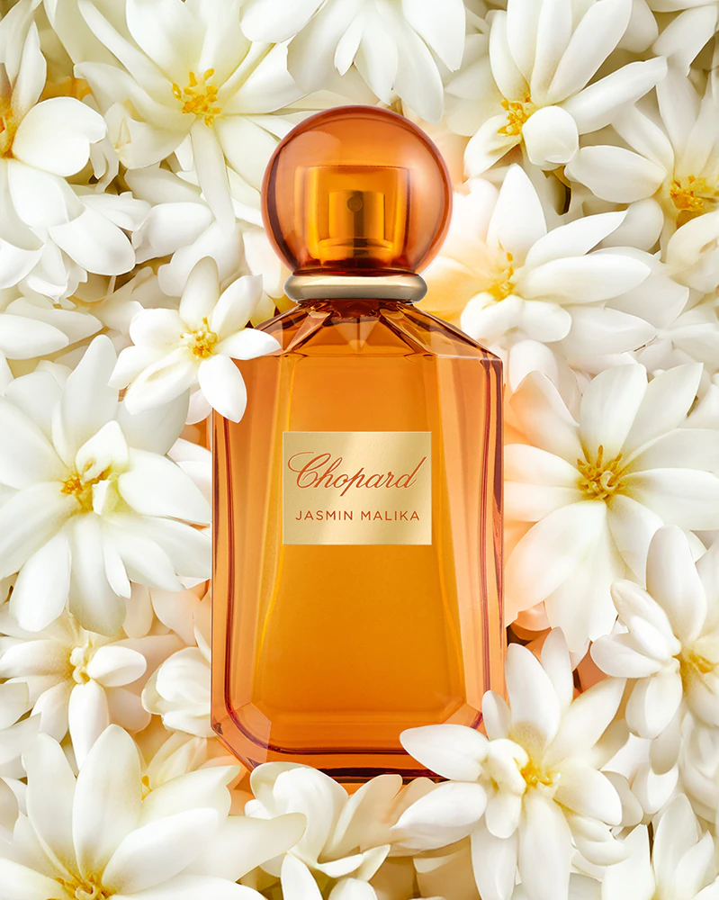 Jasmin Malika Eau de Parfum - 100ml - Women