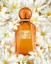 Jasmin Malika Eau de Parfum - 100ml - Women
