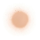 DIEGO DALLA PALMA MAKE-UP SPRAY ON TIGHTS-BODY FOUNDATION 100ML-200