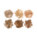 Contour Powder Kit - Light Medium