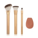 Precious Metals Face Blend + Sculpt Set - 4 Pcs