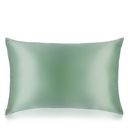 Pure Silk Queen Pillowcase - Pistachio