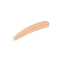 Parure Gold Precious Light Concealer - N 00
