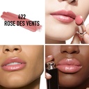 Addict Shine Lipstick - N 422 - Rose Des Vents