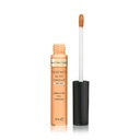 Facefinity All Day Flawless Concealer - 070