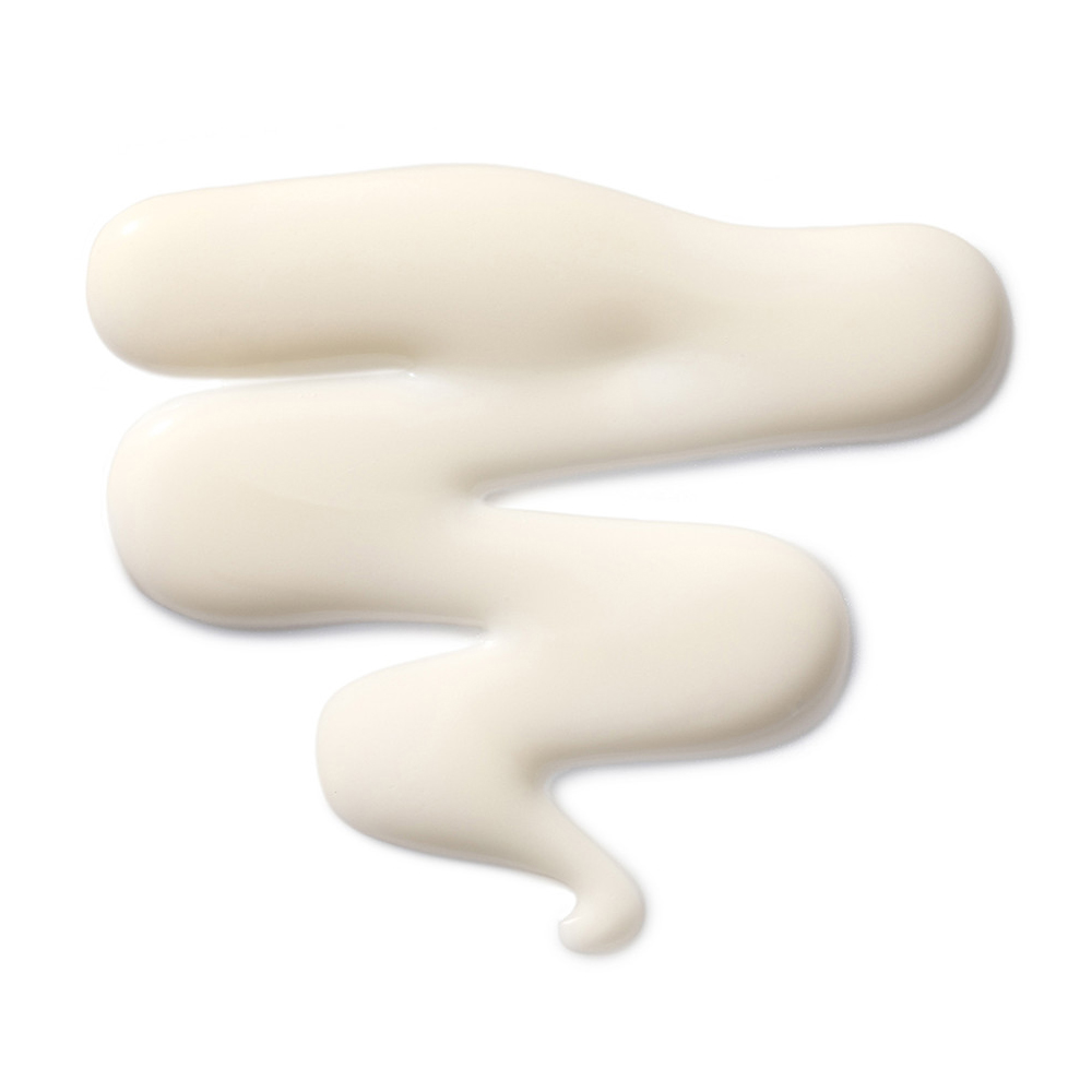 The Leave -In Hair Treatment - 50ml