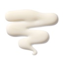 The Leave -In Hair Treatment - 50ml