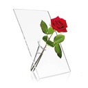 Single Stem Clear Vase
