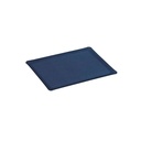 ACRYLIC TRAY 37X28CM SECRET NAVY BLUE