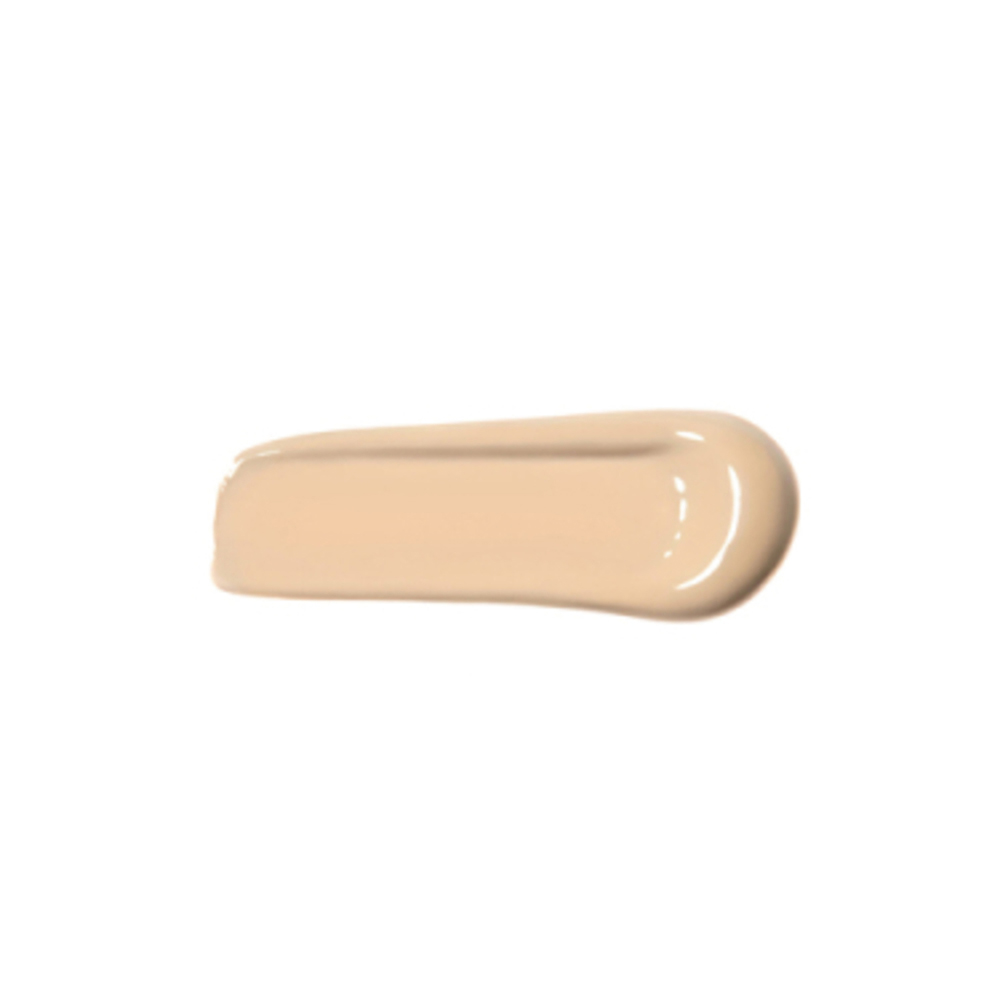 Magic Touch Concealer - N 6