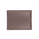 Secret Acrylic Tray 37x28cm - Earthstone