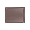 Secret Acrylic Tray 46x36cm - Earthstone