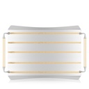 Rectangular Gold Lines Tray 