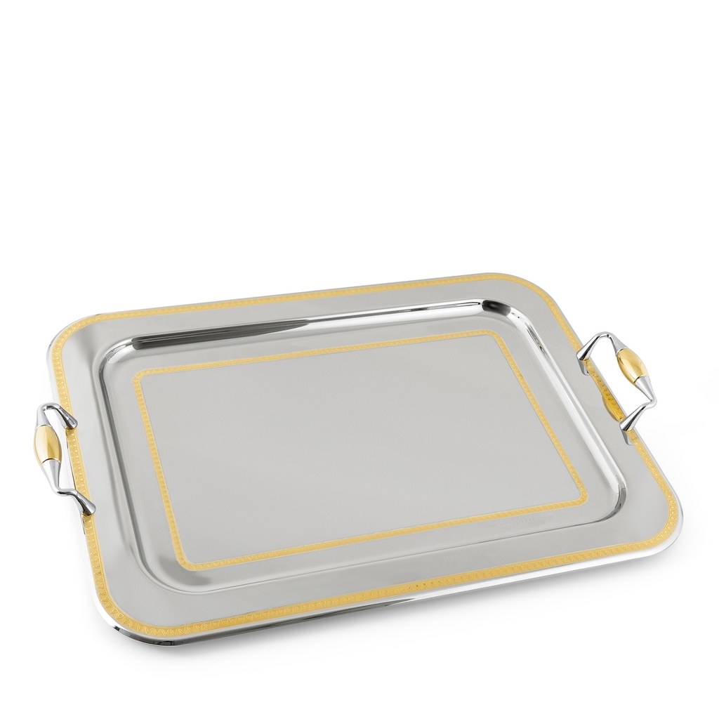 Patrizia Lines 4 Rectangular Tray - Silver & Gold 