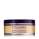 Hyaluronic Tinted Hydra Powder - N 100 - Fair