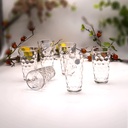 Honey Tumbler Glass Cup Set - 6pcs