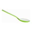 Vintage Two-Tone Serving Spoon - Green