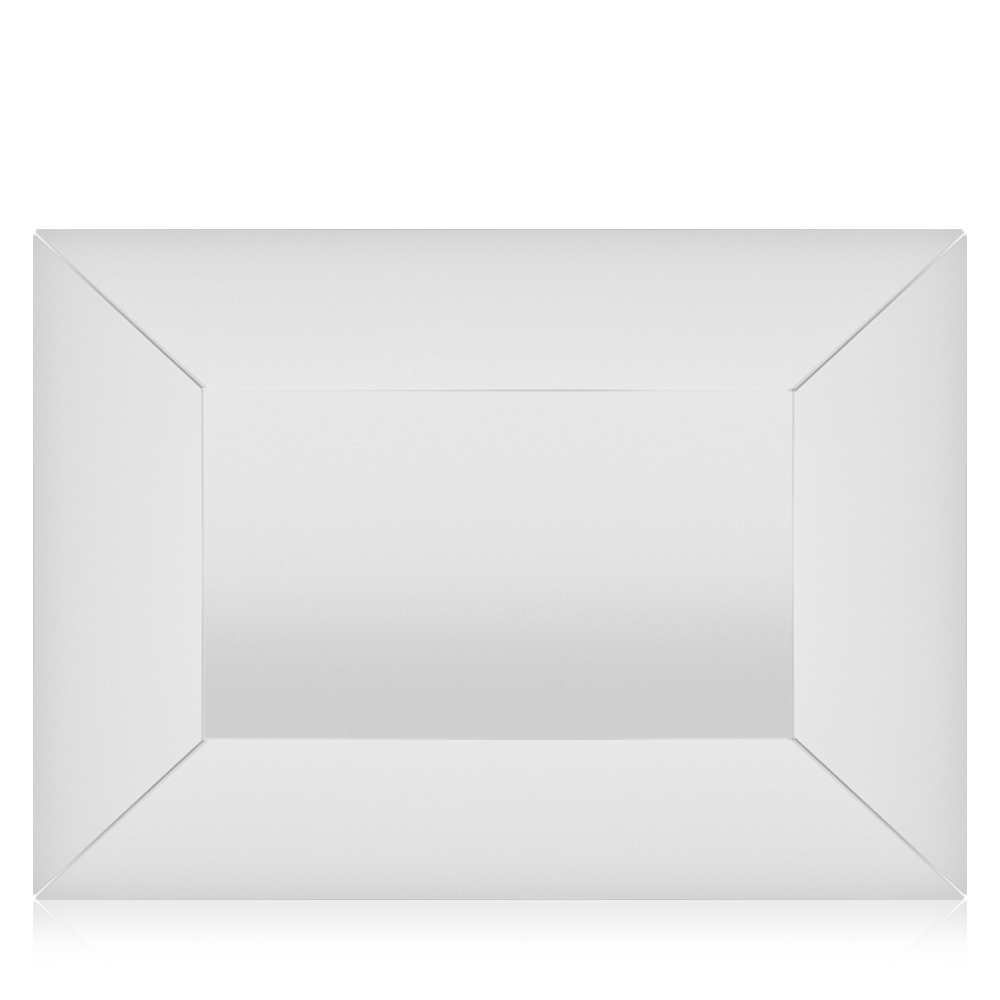 Stainless Steel Rectangular Tray